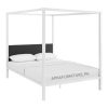 Benjamin Canopy Bed