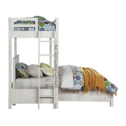 Phoebe Loft Bed